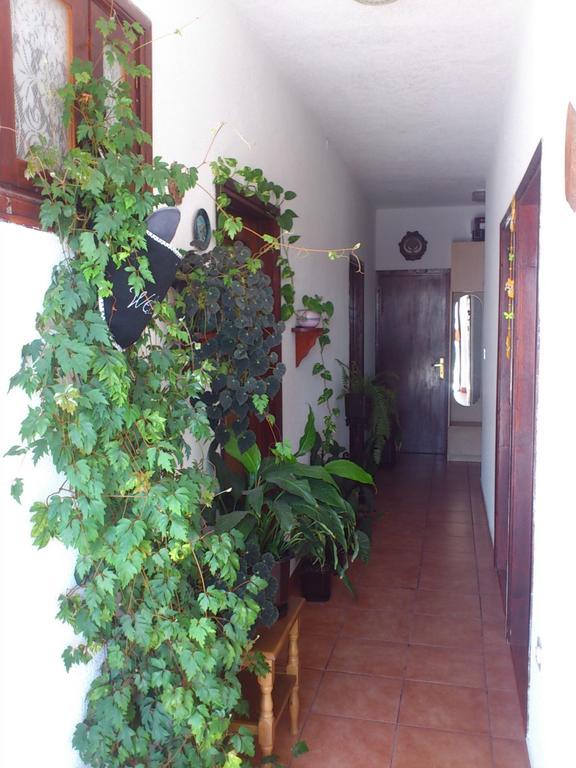 Apartment Leona Senj  Exterior photo