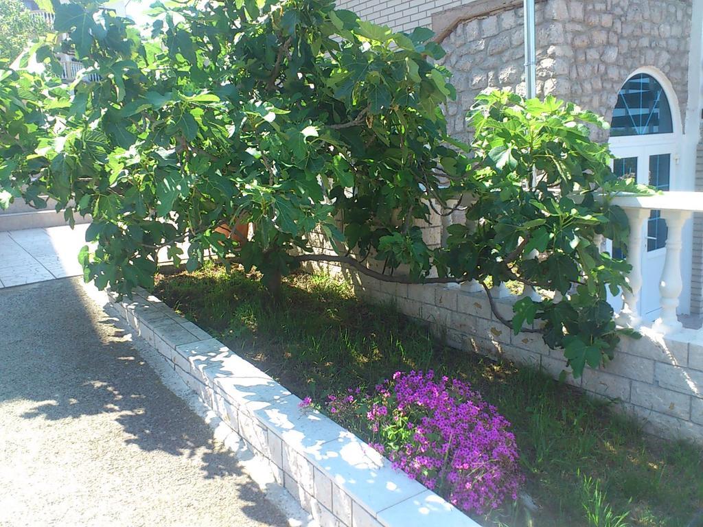 Apartment Leona Senj  Exterior photo